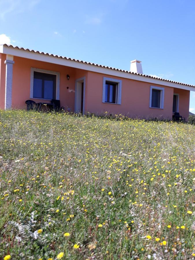 Agriturismo Gli Olivastri, Appartamento La Rosa Dei Venti Con Piscina E Solarium , Vista Mare ,Climatizzatore ,Wifi Aglientu Luaran gambar