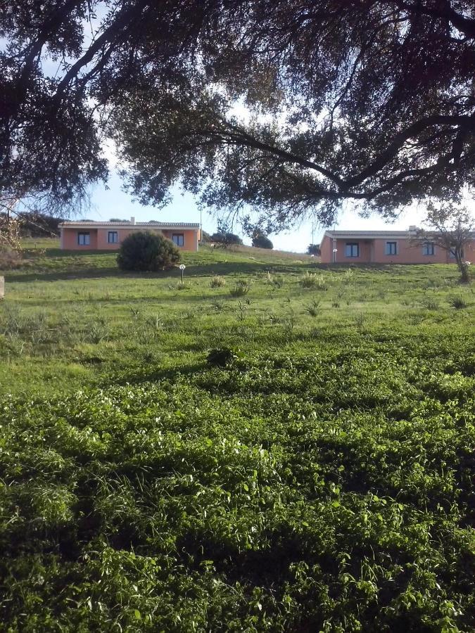 Agriturismo Gli Olivastri, Appartamento La Rosa Dei Venti Con Piscina E Solarium , Vista Mare ,Climatizzatore ,Wifi Aglientu Luaran gambar