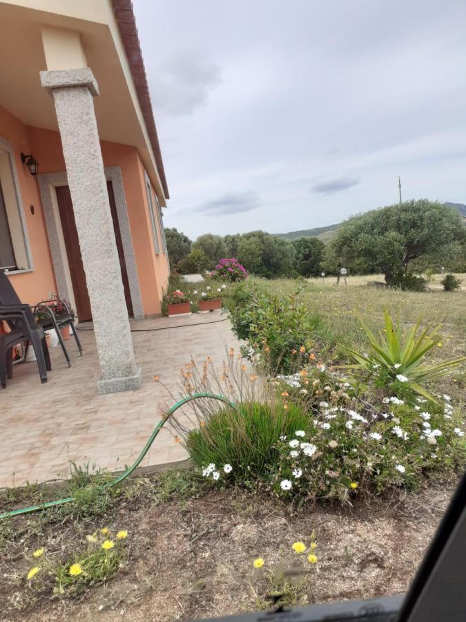 Agriturismo Gli Olivastri, Appartamento La Rosa Dei Venti Con Piscina E Solarium , Vista Mare ,Climatizzatore ,Wifi Aglientu Luaran gambar