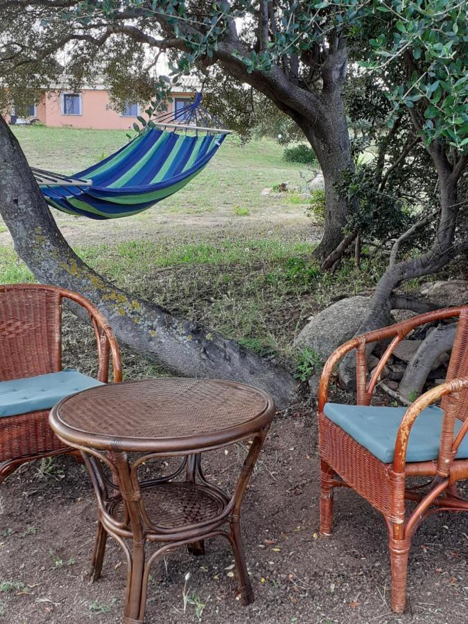 Agriturismo Gli Olivastri, Appartamento La Rosa Dei Venti Con Piscina E Solarium , Vista Mare ,Climatizzatore ,Wifi Aglientu Luaran gambar